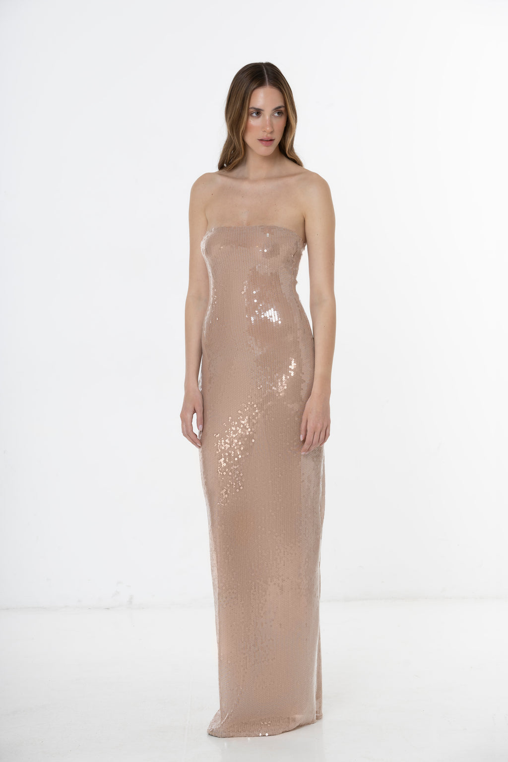 Luna Nude Dress